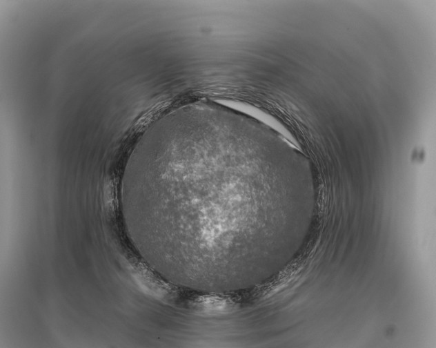 X0000096160272200801251134