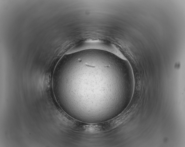 X0000096160273200801251134