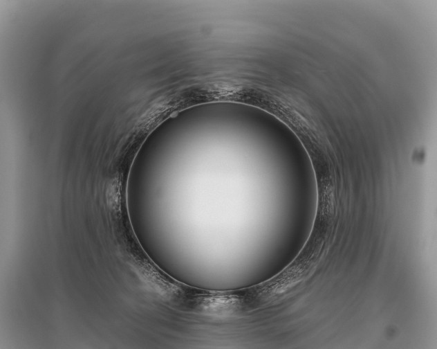 X0000096160274200801251134