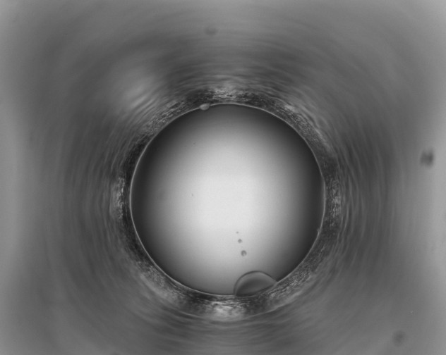 X0000096160275200801251134