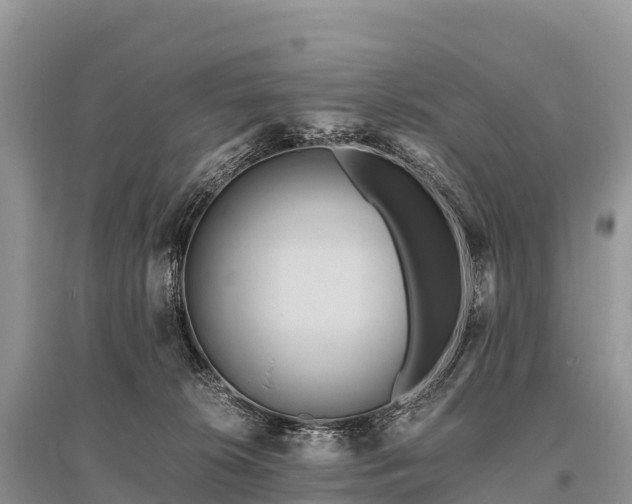 X0000096160276200801251134