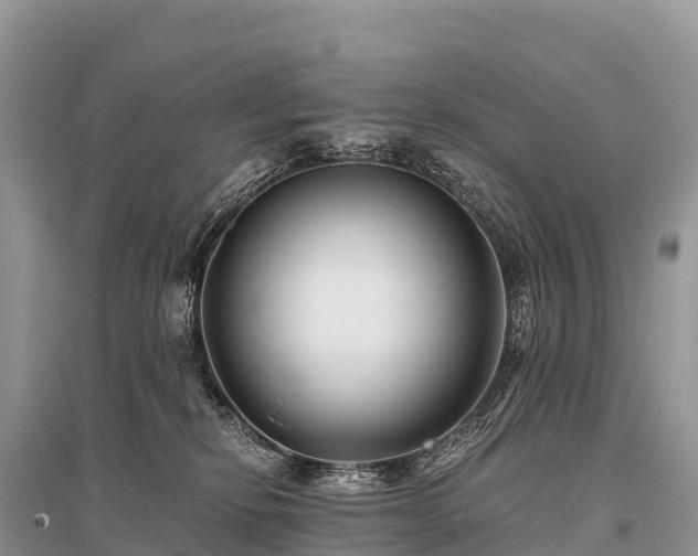 X0000096160278200801251134