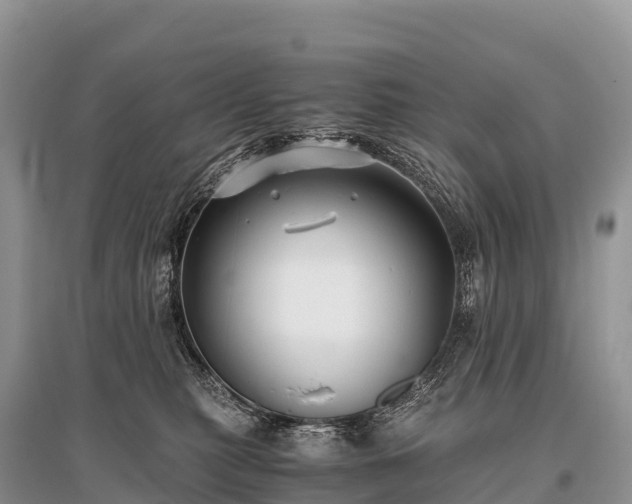 X0000096160279200801251134