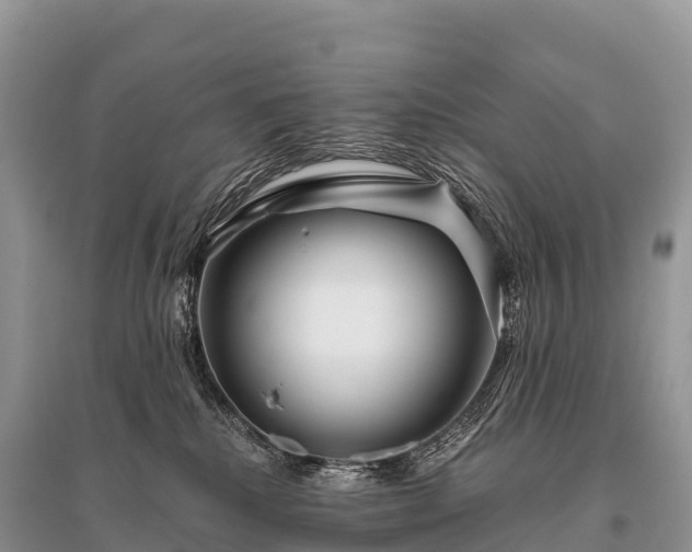 X0000096160280200801251134