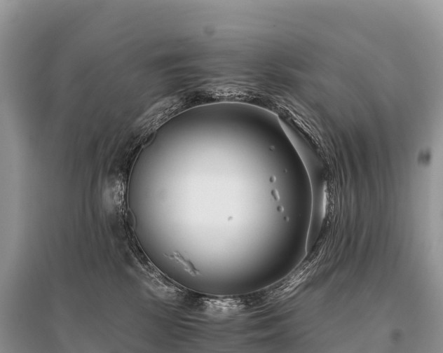 X0000096160281200801251134