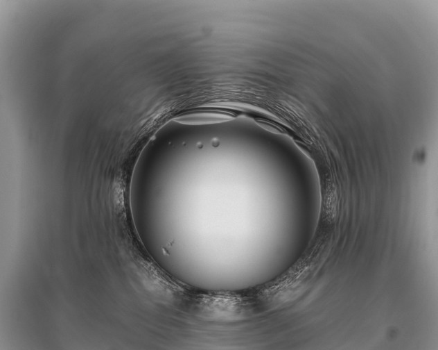 X0000096160282200801251134