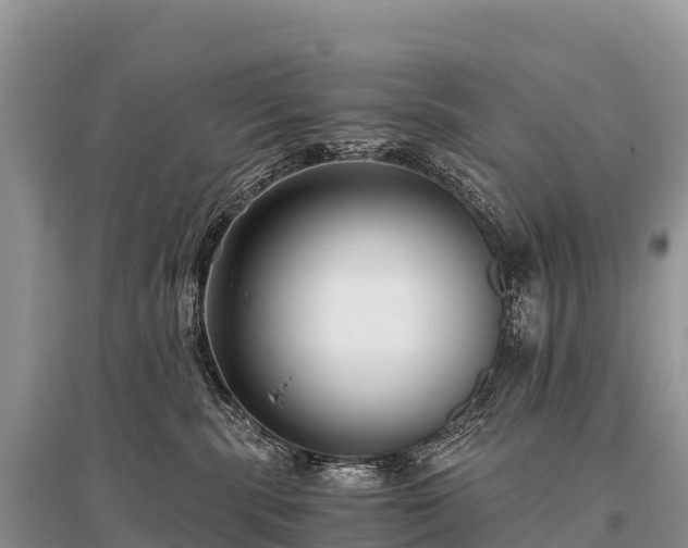 X0000096160283200801251134