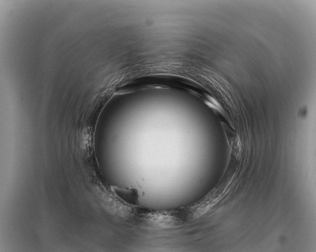 X0000096160284200801251134