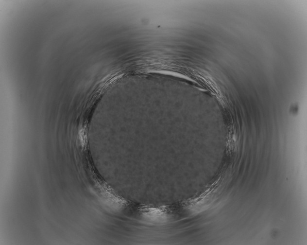 X0000096160285200801251134