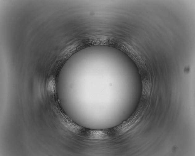 X0000096160287200801251134