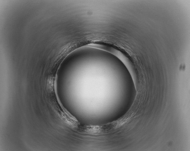 X0000096160288200801251134