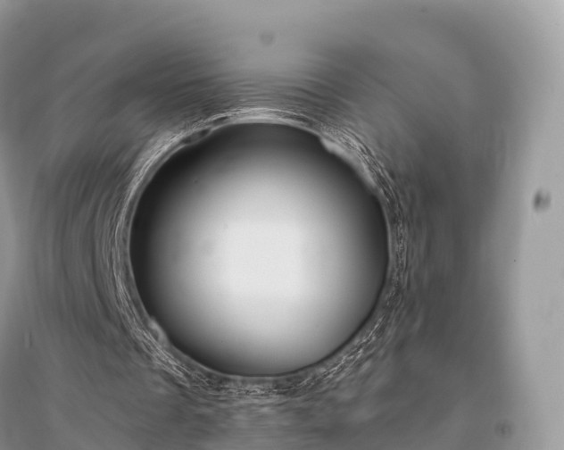 X0000096160289200801251134