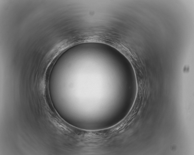 X0000096160290200801251134