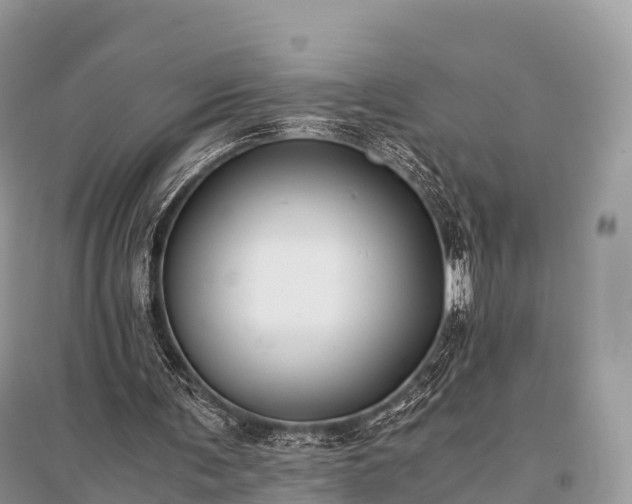 X0000096160291200801251134