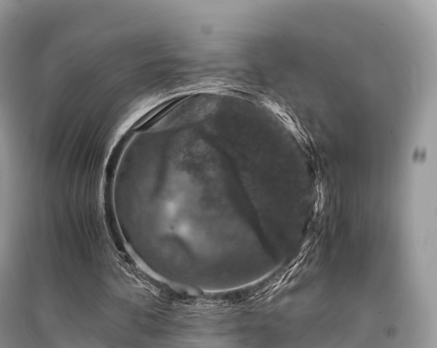 X0000096160292200801251134