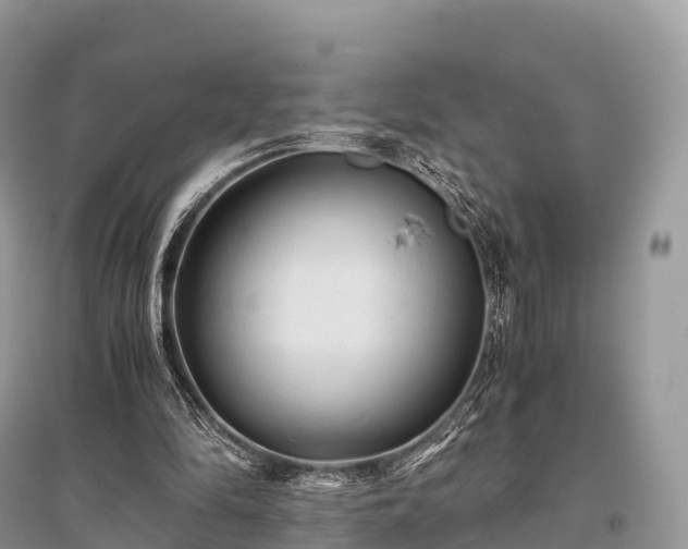 X0000096160294200801251134