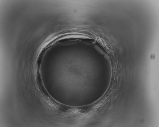 X0000096160295200801251134