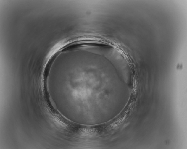 X0000096160296200801251134