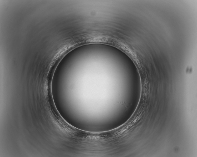 X0000096160298200801251133