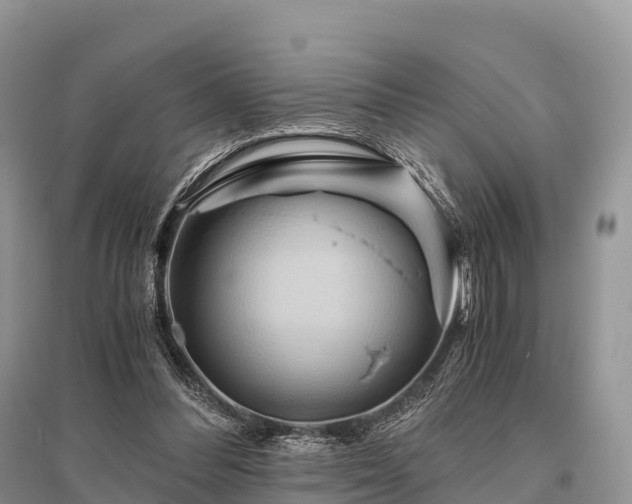 X0000096160300200801251133