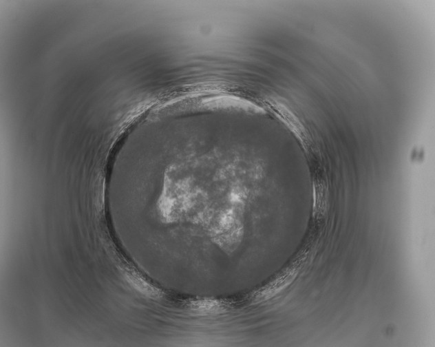 X0000096160301200801251133