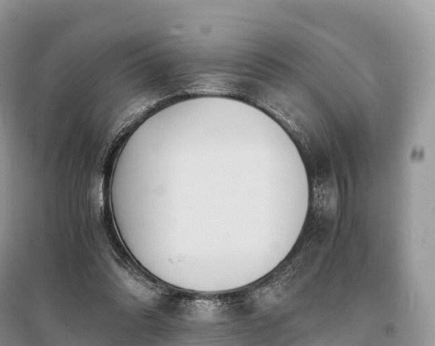 X0000096160302200801251133