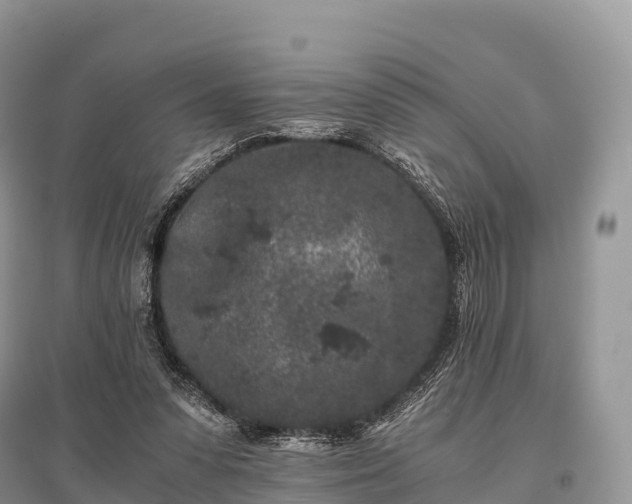 X0000096160303200801251133