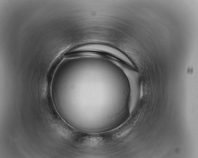 X0000096160304200801251133