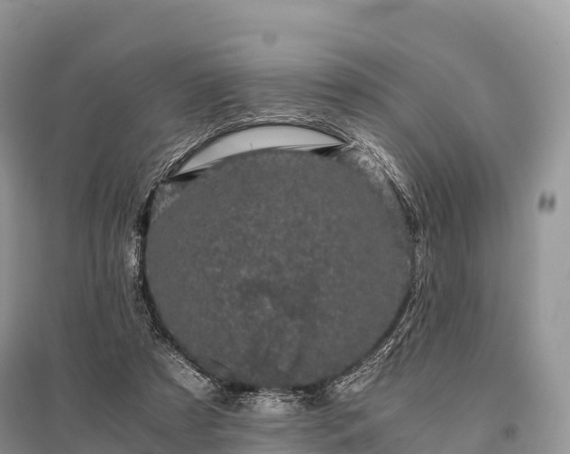 X0000096160305200801251133