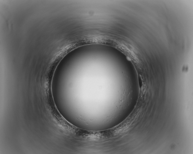 X0000096160306200801251133