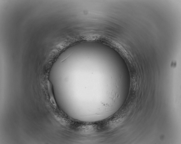 X0000096160307200801251133