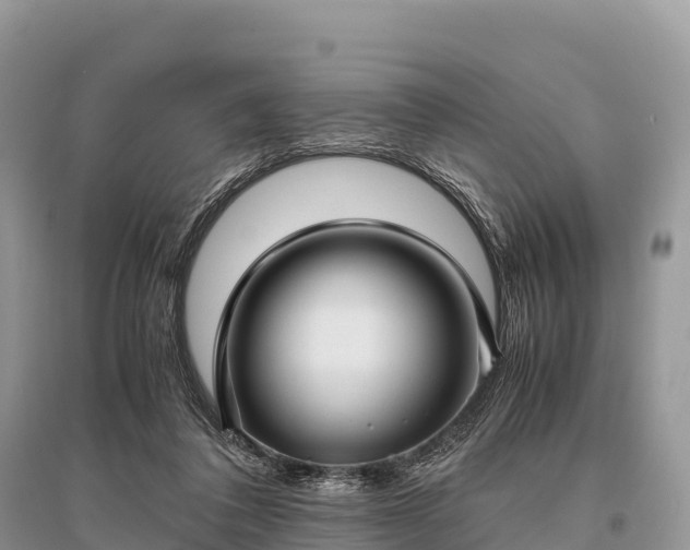 X0000096160308200801251133