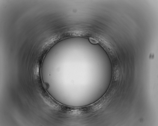 X0000096160310200801251133