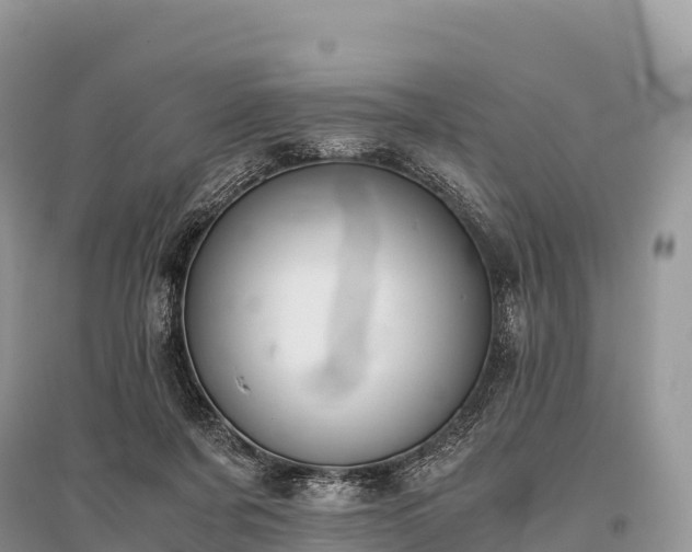 X0000096160311200801251133