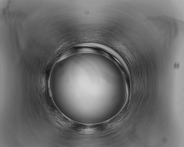 X0000096160312200801251133