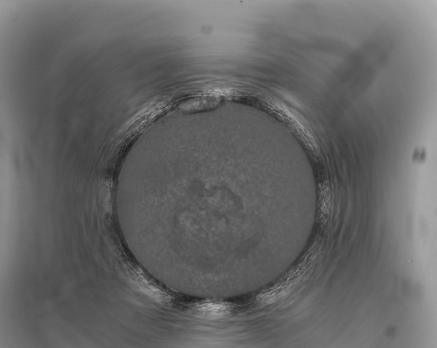 X0000096160313200801251133