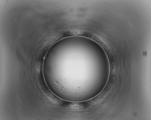 X0000096160315200801251133