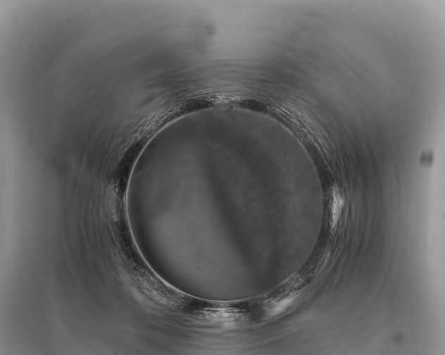 X0000096160316200801251133