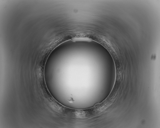 X0000096160317200801251133