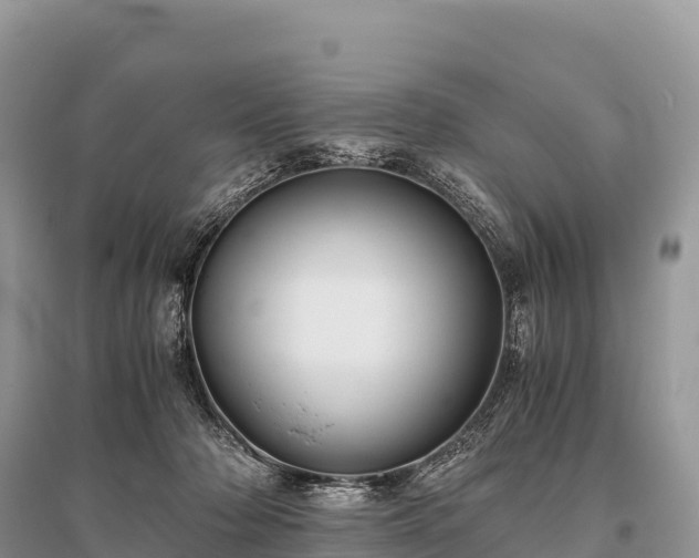 X0000096160318200801251133