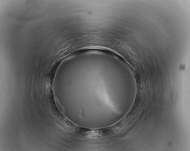 X0000096160320200801251133