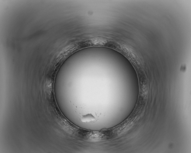 X0000096160321200801251133