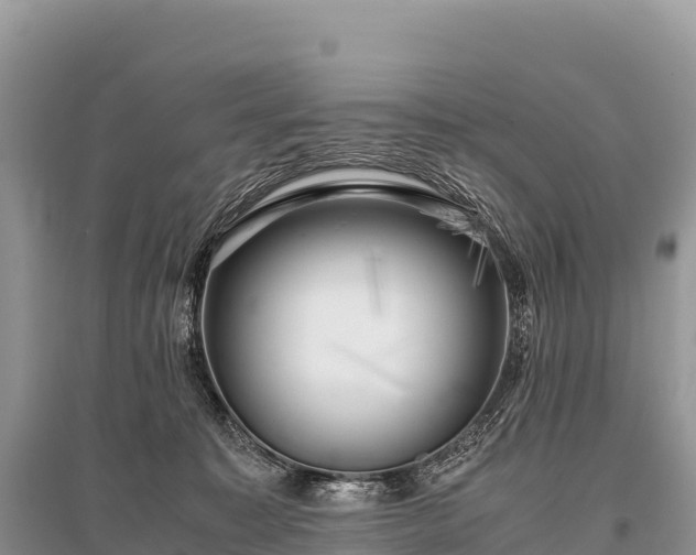 X0000096160323200801251133