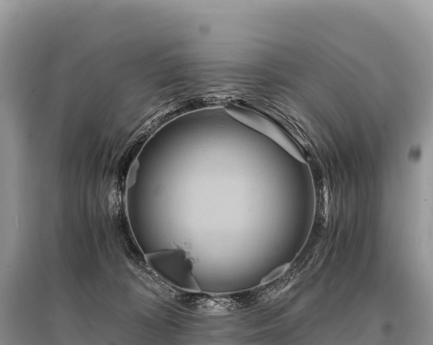 X0000096160324200801251133