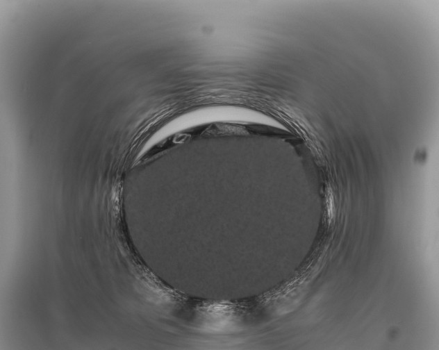 X0000096160325200801251133