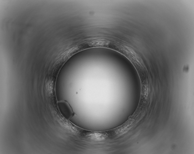 X0000096160326200801251133