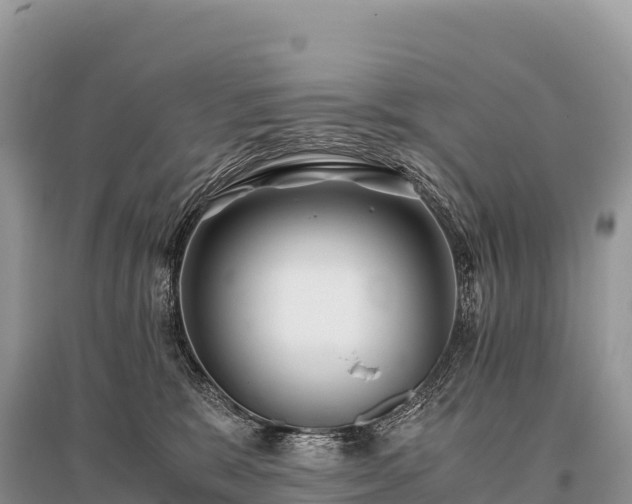 X0000096160327200801251133