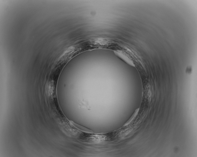 X0000096160328200801251133