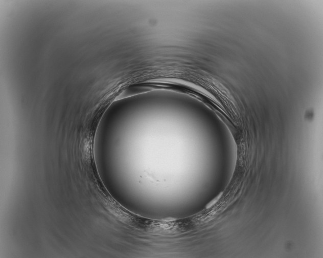 X0000096160329200801251133