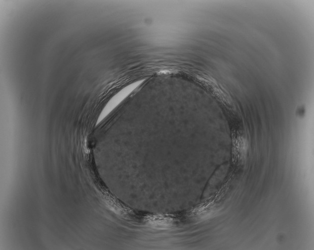 X0000096160331200801251133